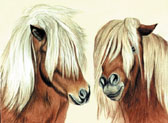 Pony, Equine Art - We Both Need a Trim